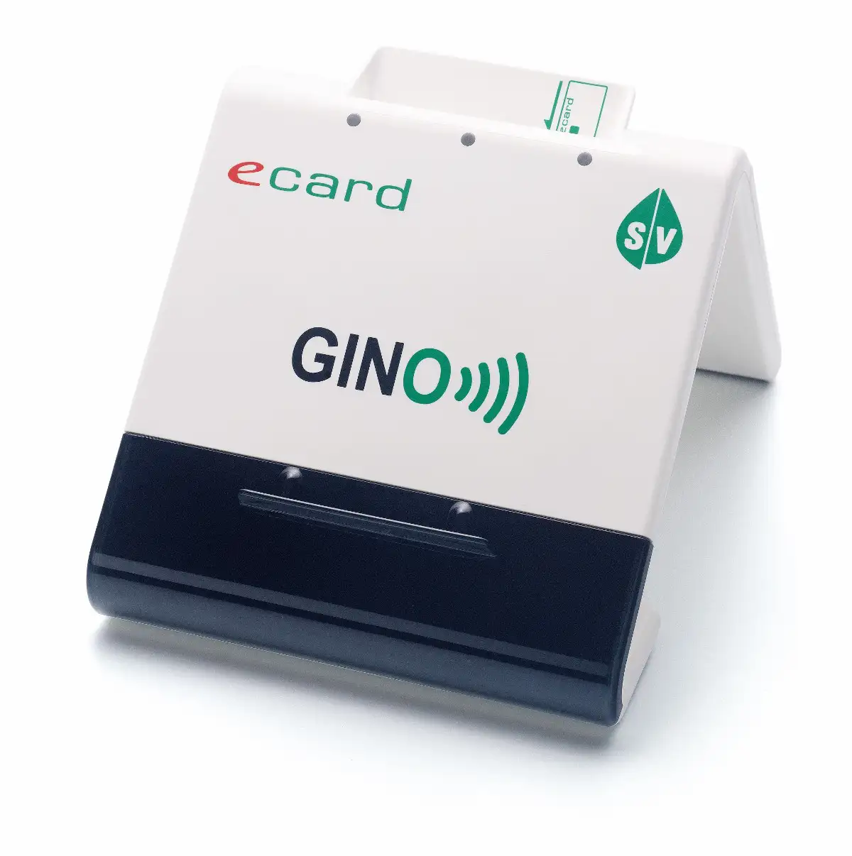GINO
